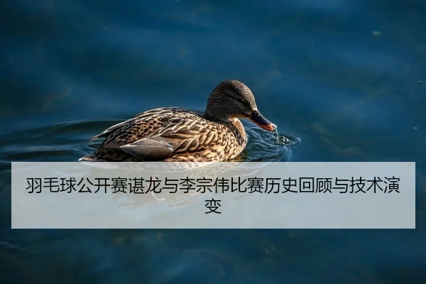 羽毛球公开赛谌龙与李宗伟比赛历史回顾与技术演变